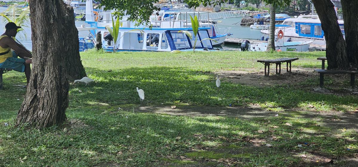 Тихая гавань